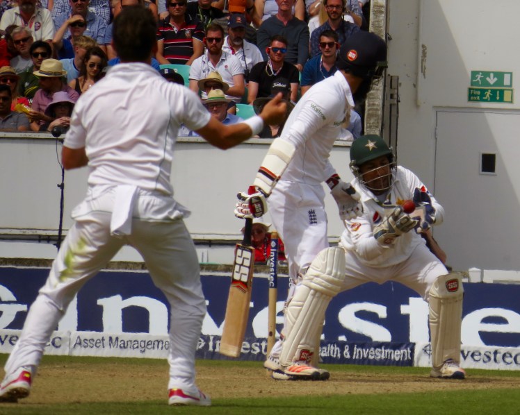 fullsizeoutput_48028