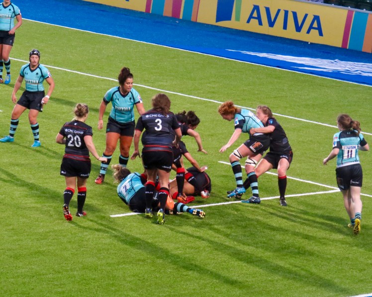 fullsizeoutput_4e61a