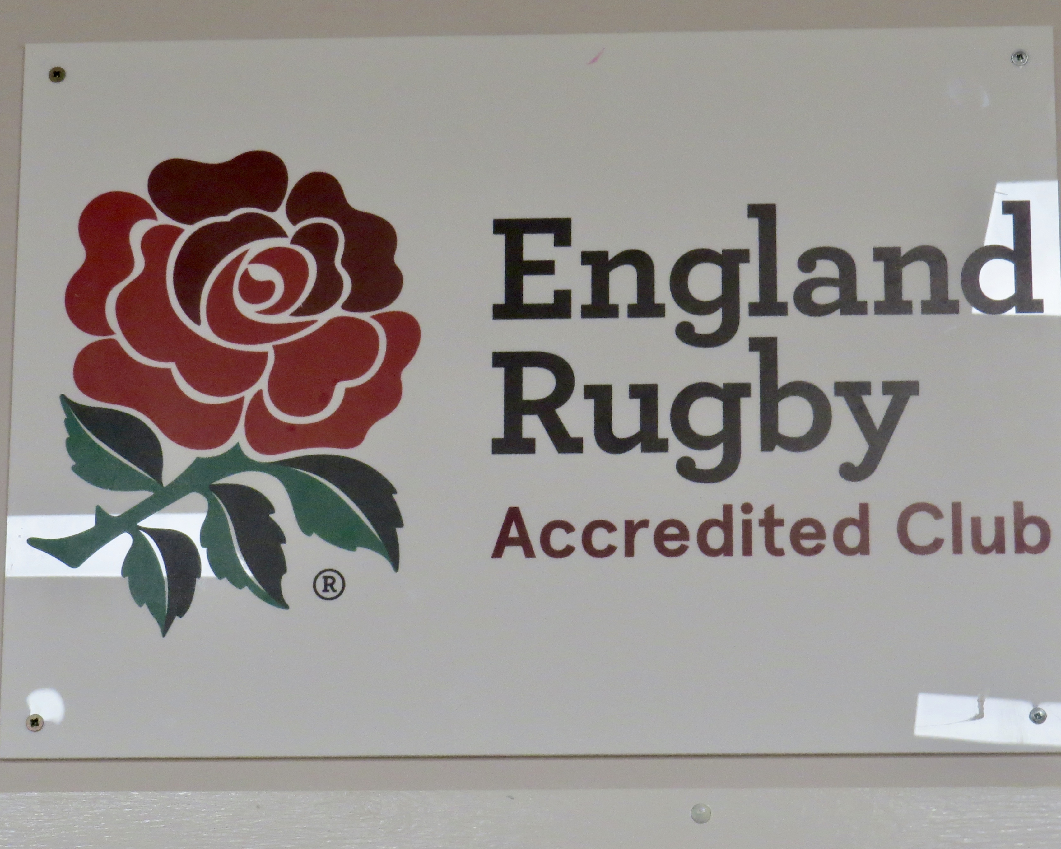 fullsizeoutput_4f64e