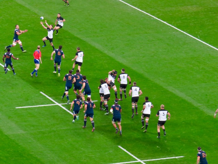 fullsizeoutput_516ec