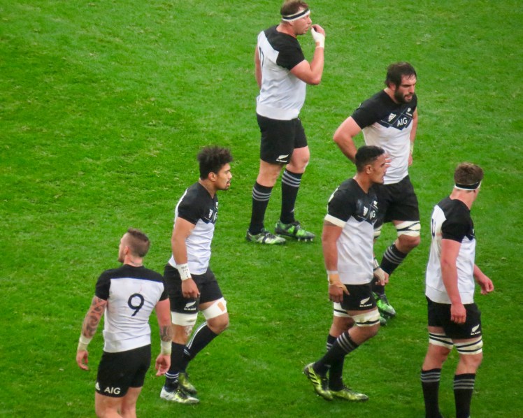 fullsizeoutput_51744