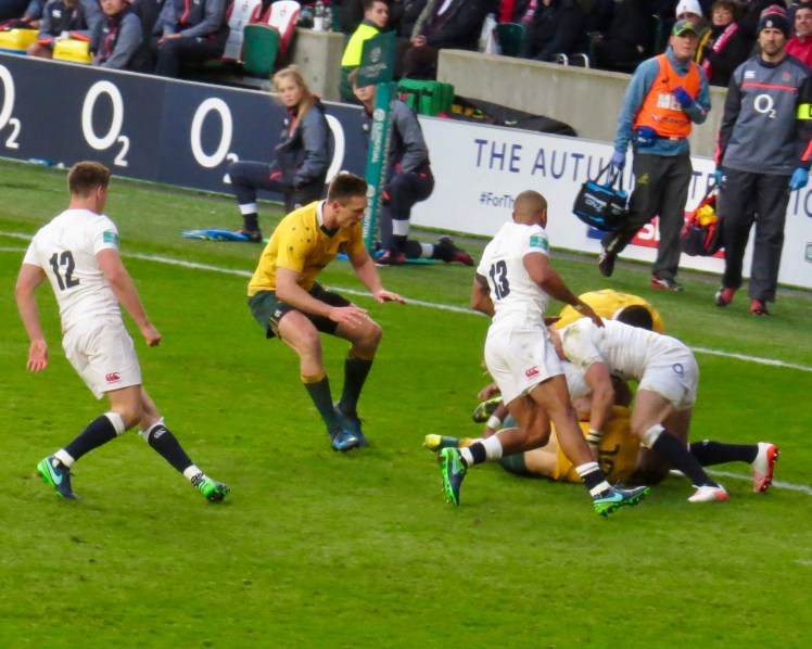 fullsizeoutput_519cf