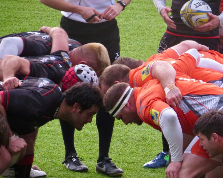 fullsizeoutput_52441