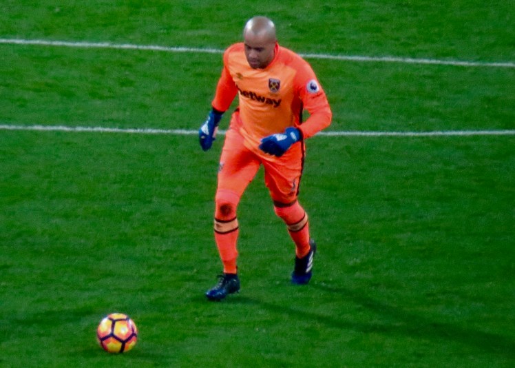 fullsizeoutput_53b08