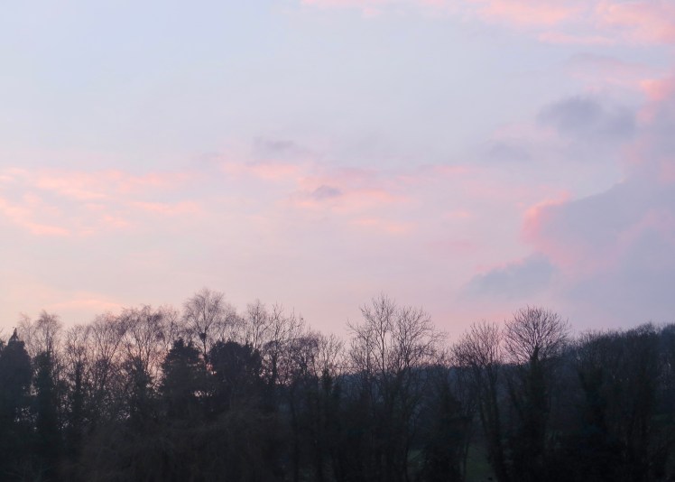 fullsizeoutput_53c4b