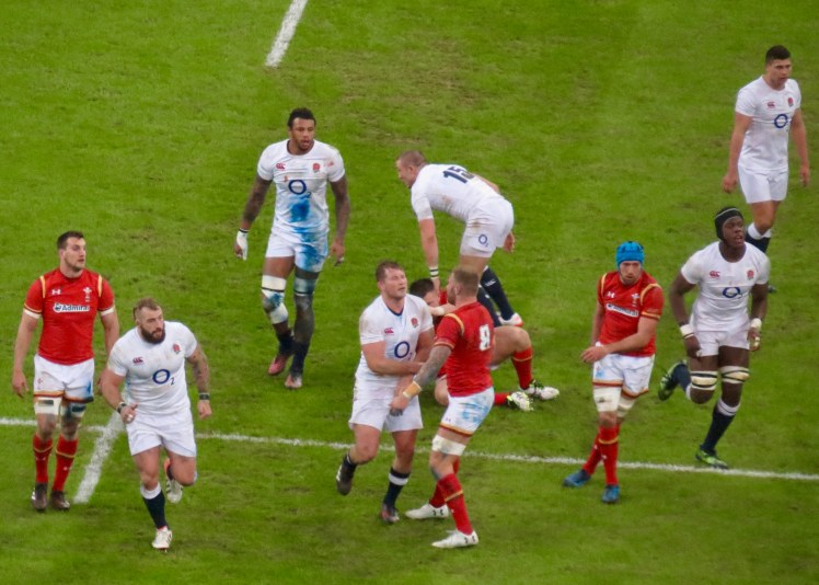 fullsizeoutput_53ca3