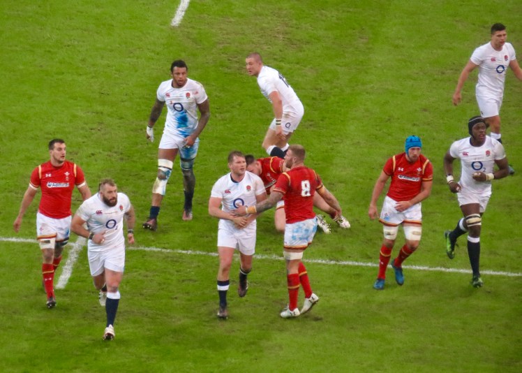 fullsizeoutput_53ca4