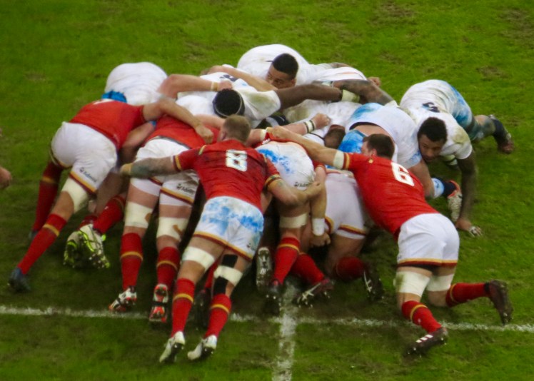 fullsizeoutput_53ca5