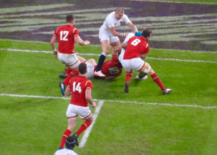 fullsizeoutput_53cac