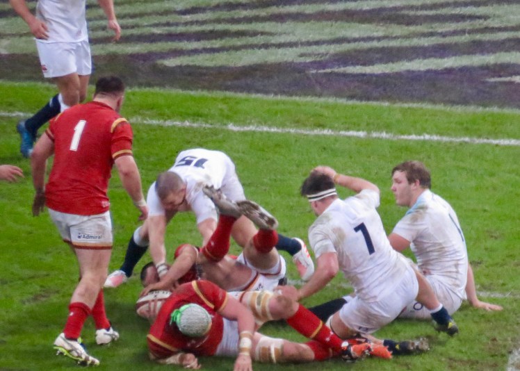 fullsizeoutput_53cc1