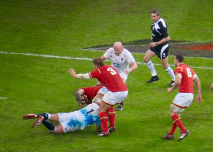 fullsizeoutput_53cc8