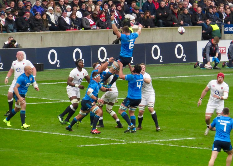 fullsizeoutput_54ee6