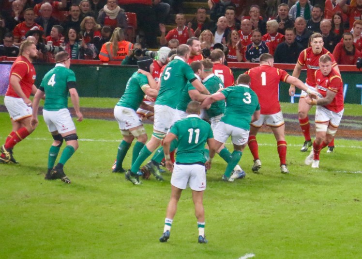 fullsizeoutput_55300