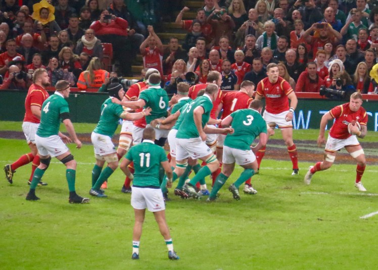 fullsizeoutput_55301