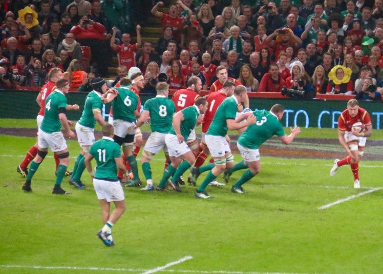 fullsizeoutput_55302