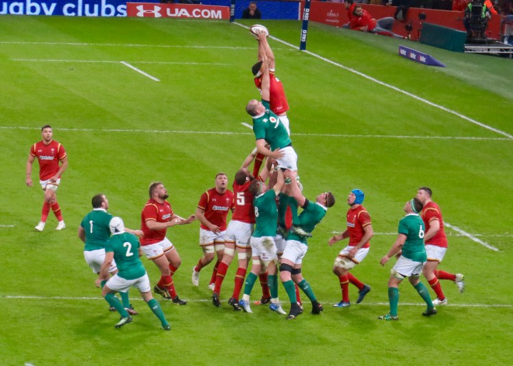 fullsizeoutput_55304