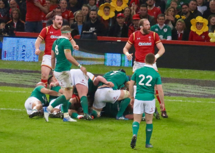 fullsizeoutput_55315