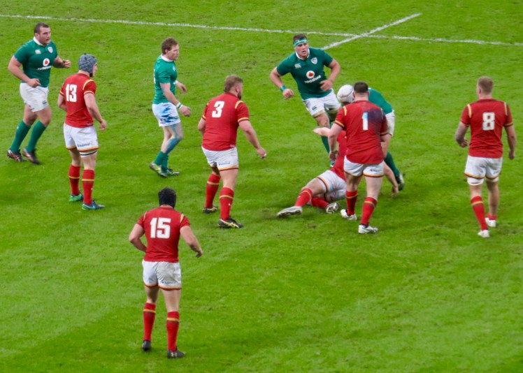 fullsizeoutput_55335