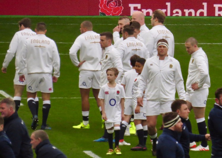 fullsizeoutput_55343