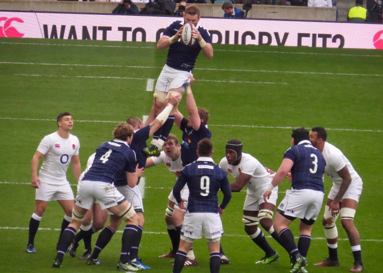 fullsizeoutput_55354