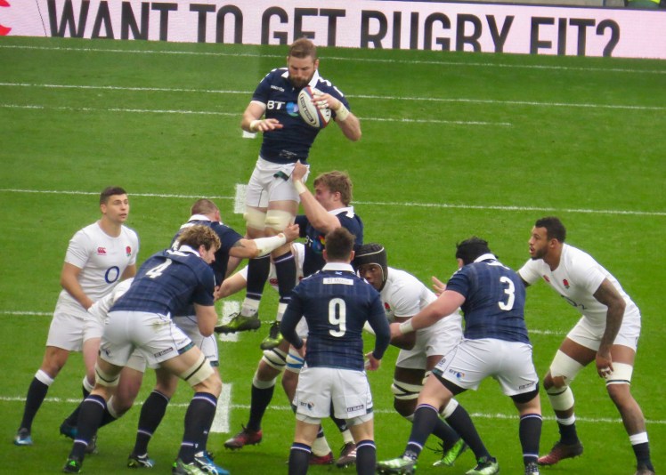 fullsizeoutput_55355