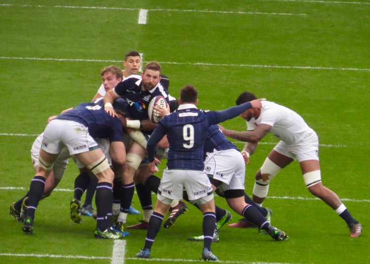 fullsizeoutput_55356