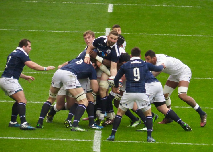 fullsizeoutput_55357