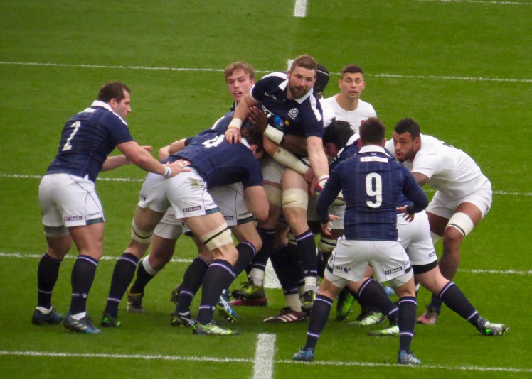 fullsizeoutput_55358