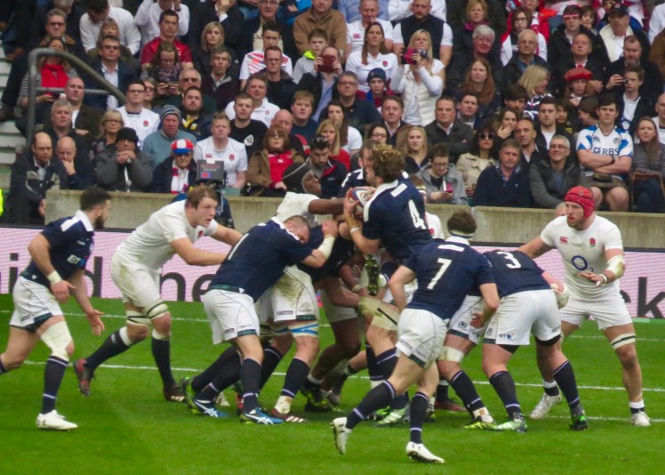 fullsizeoutput_55376