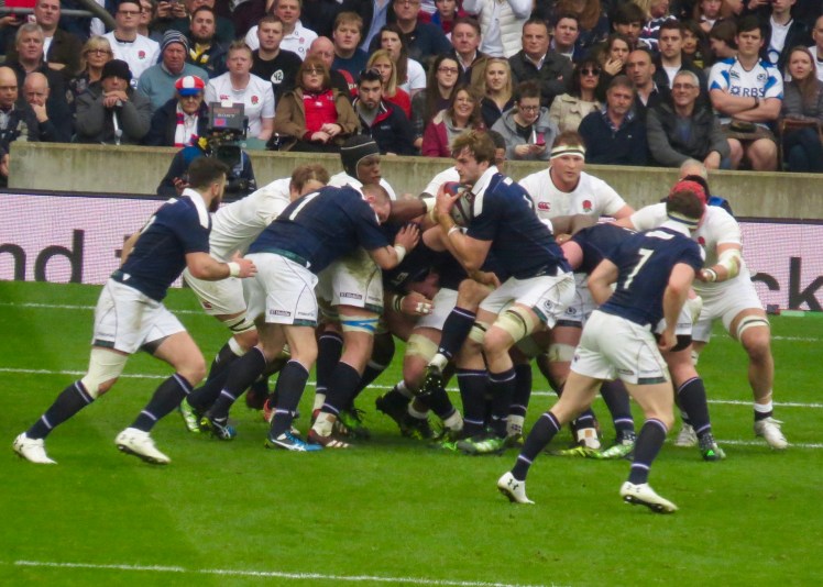 fullsizeoutput_55377