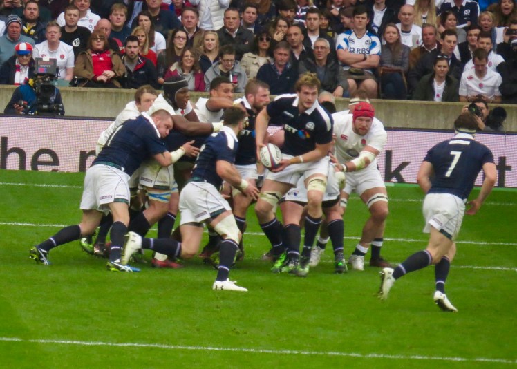 fullsizeoutput_55379