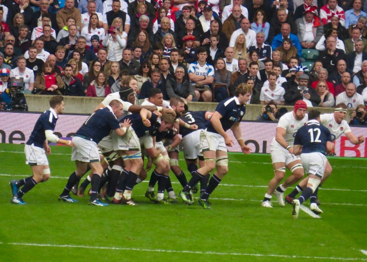 fullsizeoutput_5537a