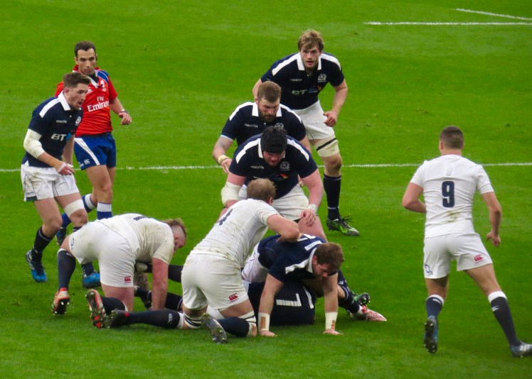 fullsizeoutput_553d3