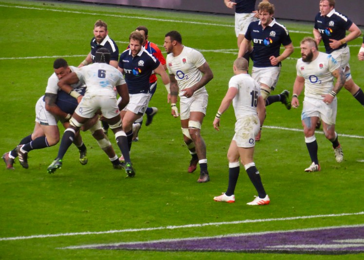 fullsizeoutput_553d5