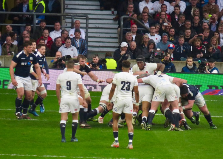 fullsizeoutput_553ee