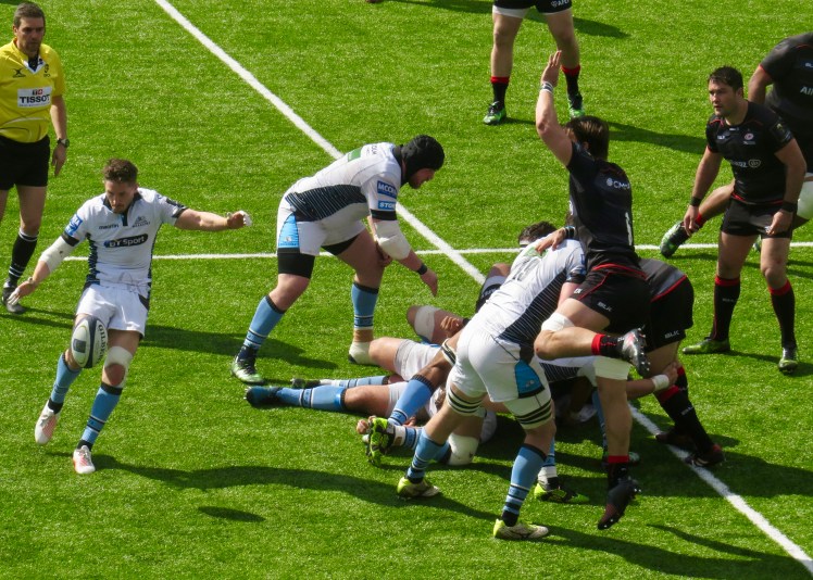 fullsizeoutput_565cc