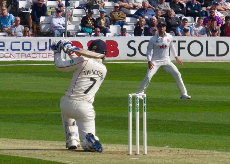 fullsizeoutput_56a3f