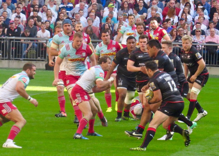 fullsizeoutput_57083