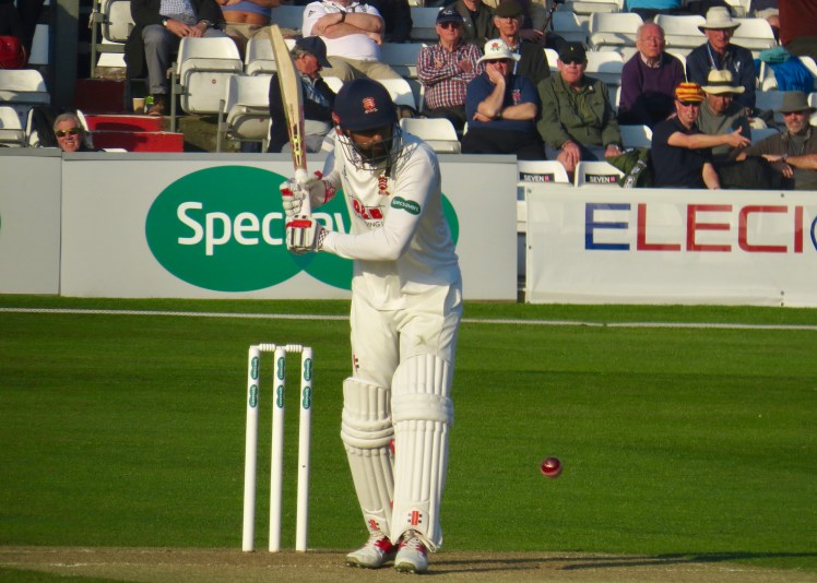 fullsizeoutput_57118