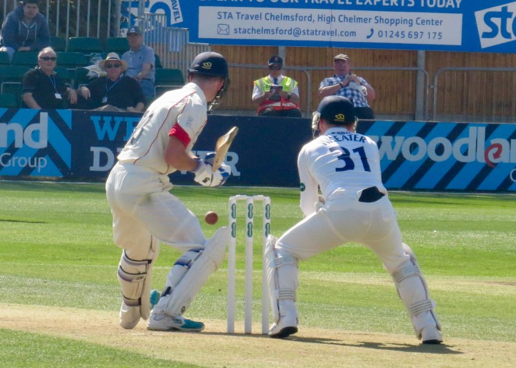 fullsizeoutput_57155