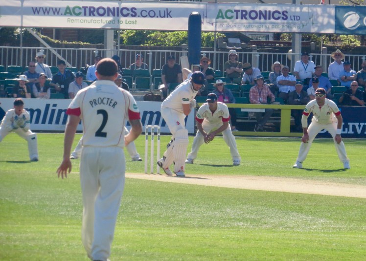 fullsizeoutput_5715c