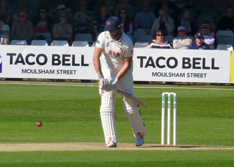 fullsizeoutput_57161