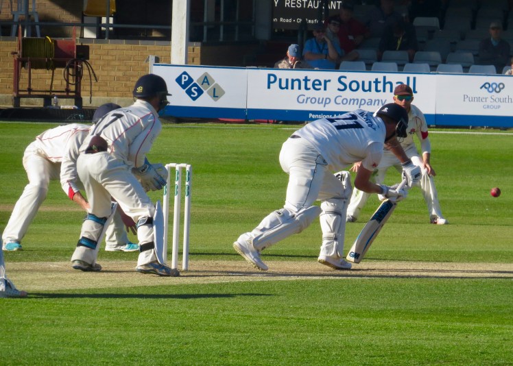 fullsizeoutput_57168