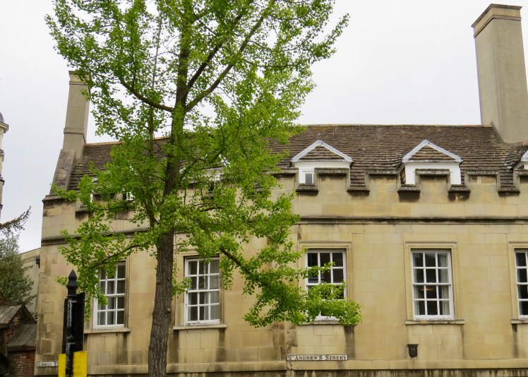 fullsizeoutput_59521