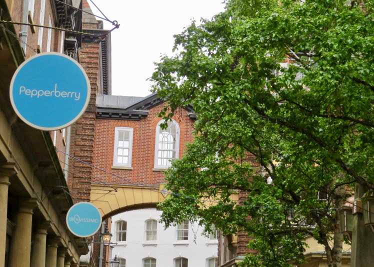 fullsizeoutput_59522