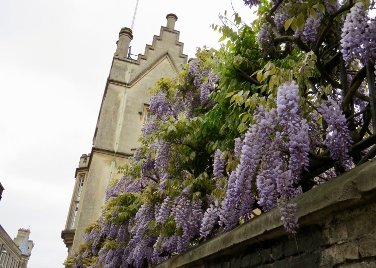 fullsizeoutput_59523