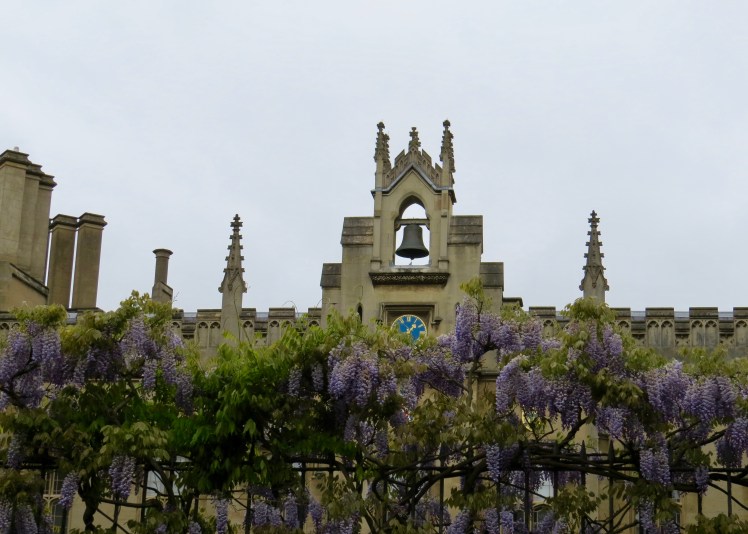 fullsizeoutput_59525