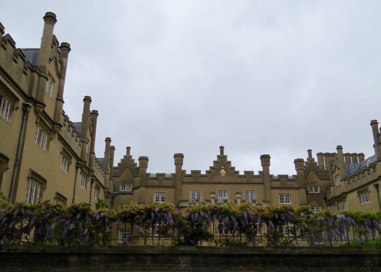 fullsizeoutput_59526