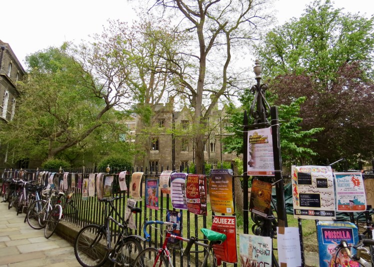 fullsizeoutput_5952e