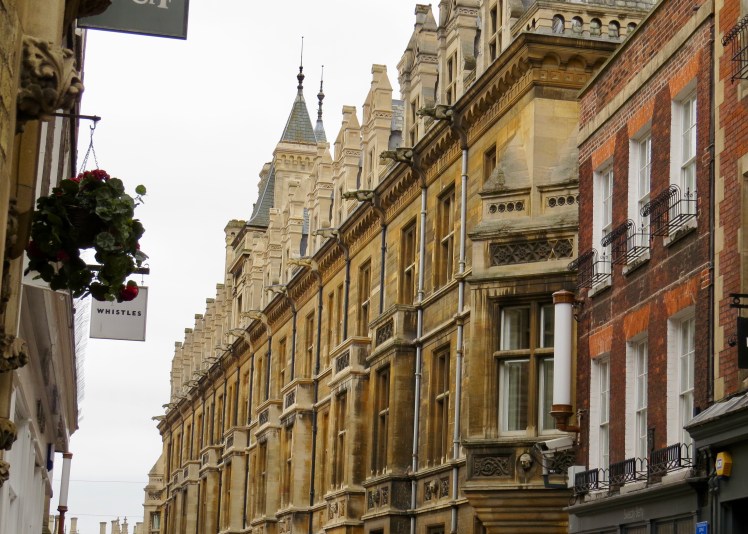 fullsizeoutput_59535